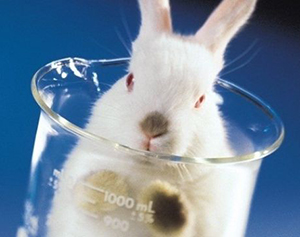 Animal testing on the rise in Ireland