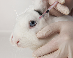 280,000 animals used for testing in 2010