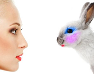 Animal testing for cosmetics continues to be permitted