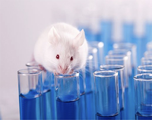 Animal testing in Dublin labs could soon be thing of the past following ‘historic’ EU vote
