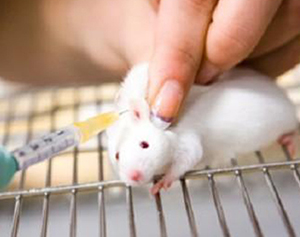 IAVS persuades Government to correct false figures exaggerating medical benefits of licensed animal tests