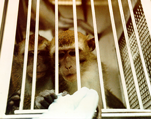 Proposed Large Animal Testing Facility in Ireland