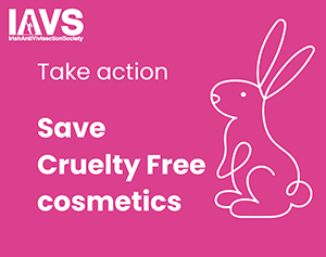 Tell the European Parliament you oppose animal testing