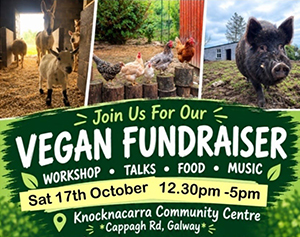 IAVS Stand at the Galway Vegan Fundraiser Event IAVS Stand at the Galway Vegan Fundraiser Event